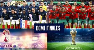 Demi-Finale France Maroc à la Coupe du Monde 2022 au Qatar – Rugir, Rugir, Rugir, mais au fait, pourquoi RUGIR?
