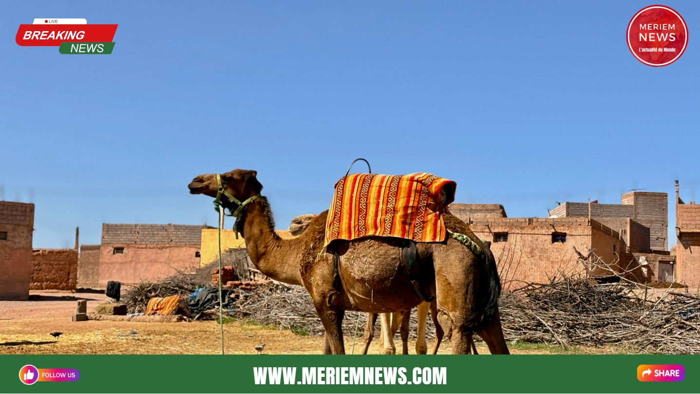 Voyage-Tourisme-Maghreb-Meriem-News